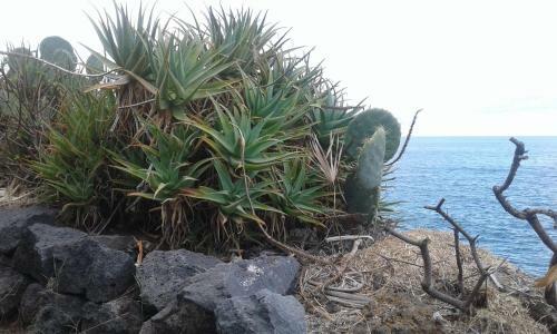Apartamento Perla Sul Mare
