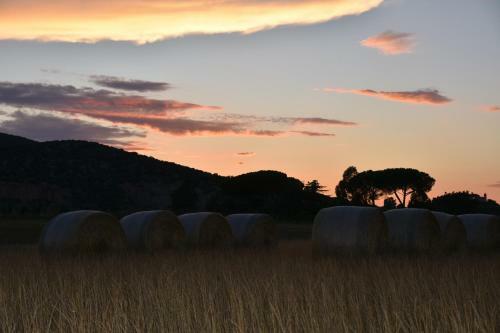 Agroturismo Giardino Di Maremma