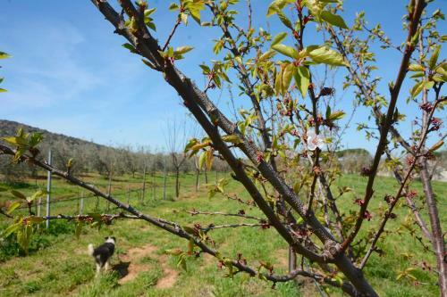 Agroturismo Giardino Di Maremma