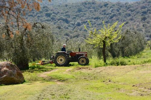 Agroturismo Giardino Di Maremma