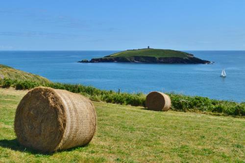 Garryvoe Beach Homes