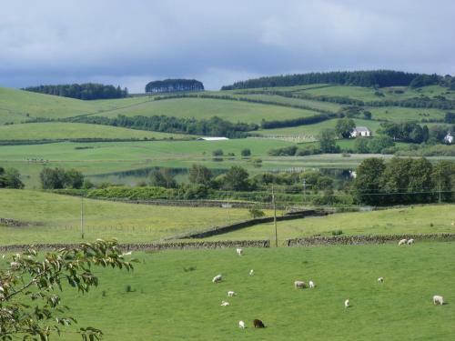 Airds Farmhouse Bed And Breakfast