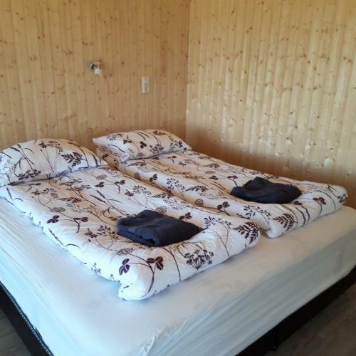 Agroturismo Mi�hvammur Farm Stay