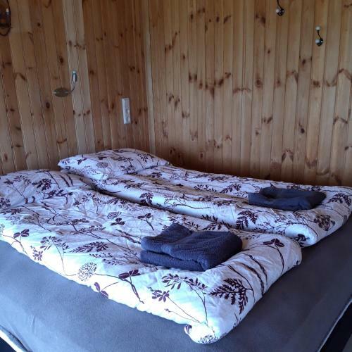 Agroturismo Mi�hvammur Farm Stay