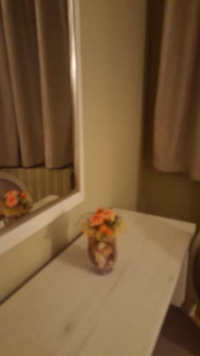 Aparta-hotel Escuer