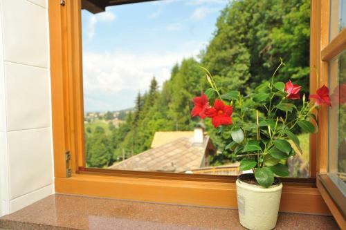 Hotel Albergo Garni' Laura