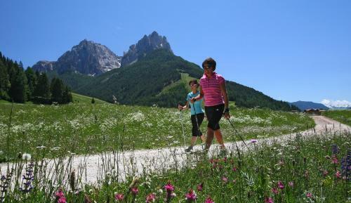 Hotel Albergo Garni' Laura