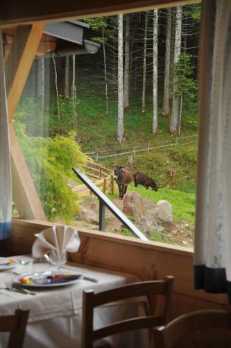 Hotel Albergo Garni' Laura
