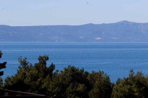 Luxury Apartments Makarana