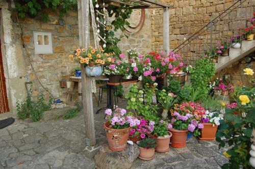 Holiday Home Sarina