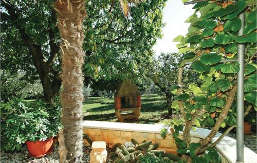 Apartment Ograda VI