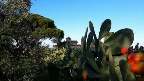 Agroturismo Posta Santa Croce