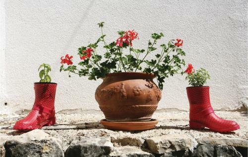 Holiday Home Zuzici VI