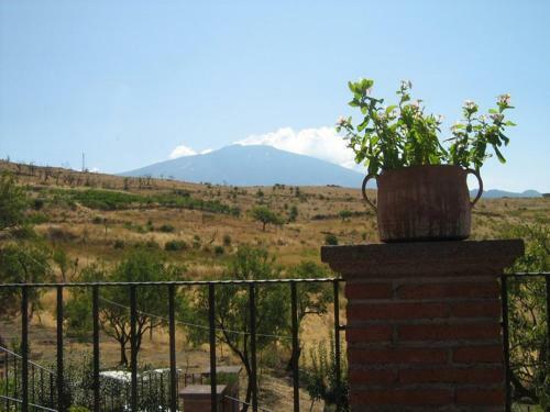 Bed & Breakfast Turismo Rurale Oro Verde