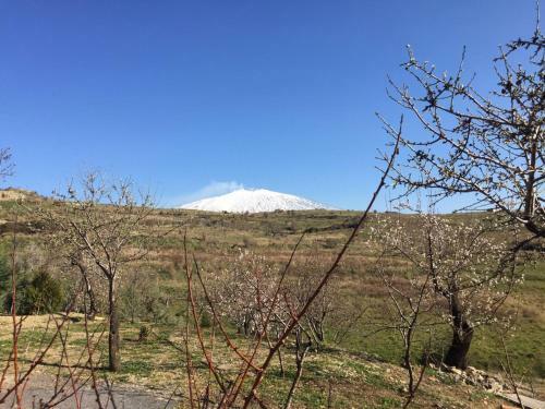 Bed & Breakfast Turismo Rurale Oro Verde