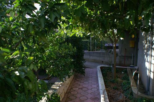 Apartment Slatine 1099a