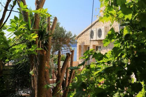 Hostal Apartment Seget Donji 10372b