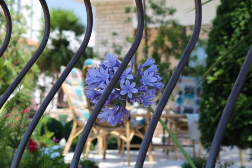 Apartamentos Villa Ratka