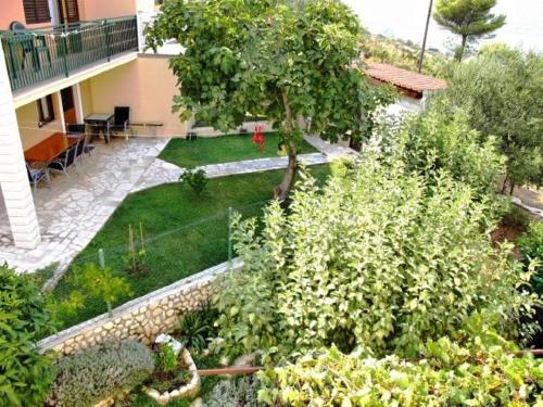 Apartments Ante