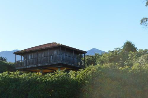Hotel The Island