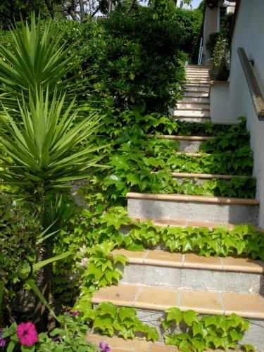 Bed & Breakfast Les Grimaldines - Maison D'h�tes