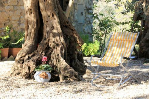 B&B Colle Perrini Country House