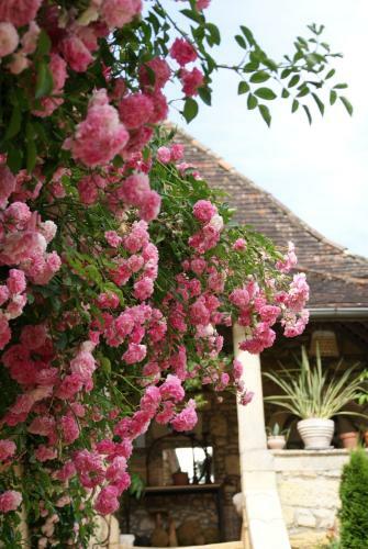 Bed & Breakfast La Tour De Cause