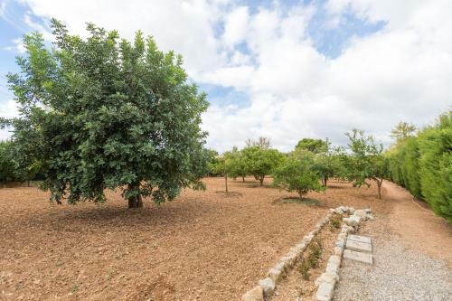 Villa Can Antich