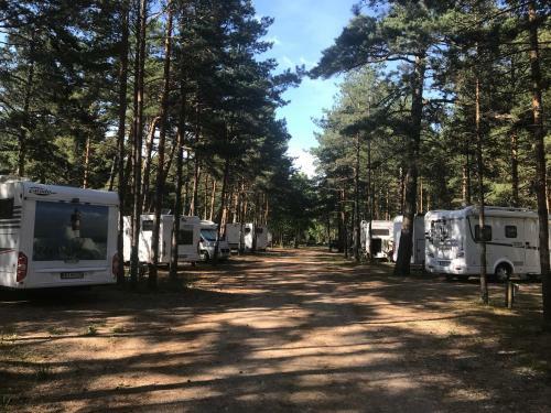 Bb Camping
