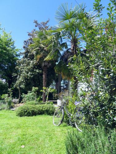 Bed & Breakfast Cuore Verde