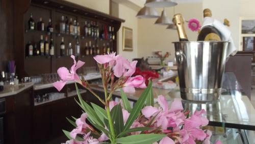 Villa Hotel Del Sole