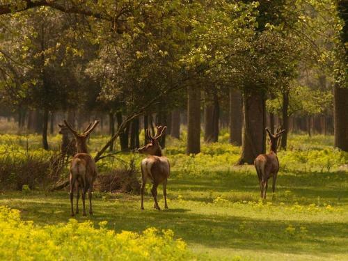 Agroturismo Il Dosso Agriturismo