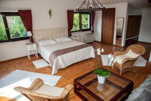 Tenuta Colle Mattia
