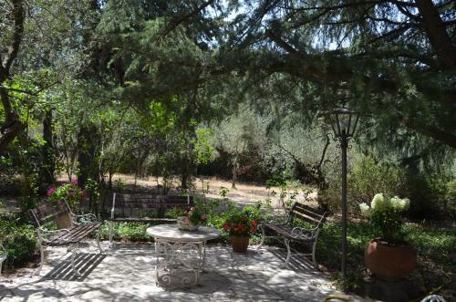 Tenuta Colle Mattia