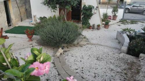 Casa Vacanze Sidda
