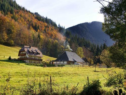 Apartamento Gasthaus Zur Linde-napf