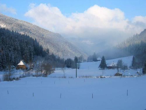 Apartamento Gasthaus Zur Linde-napf