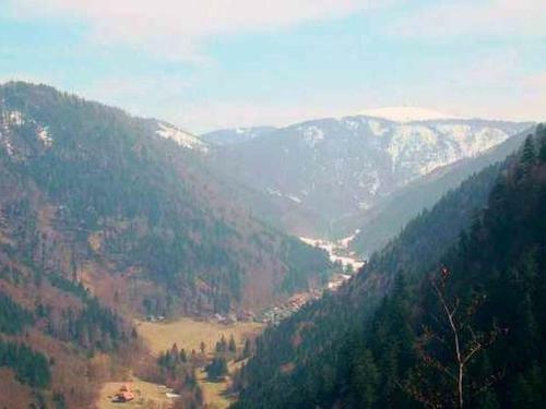 Apartamento Gasthaus Zur Linde-napf