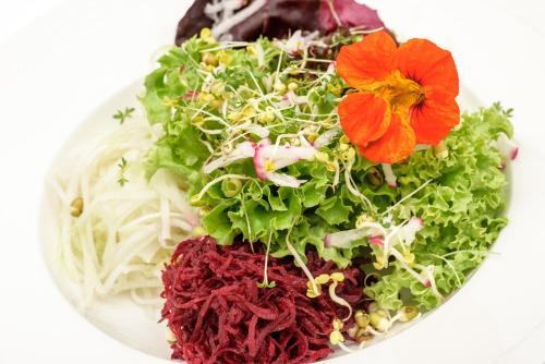 Bergh�s Schratt - Vegetarisches Und Veganes Biohotel