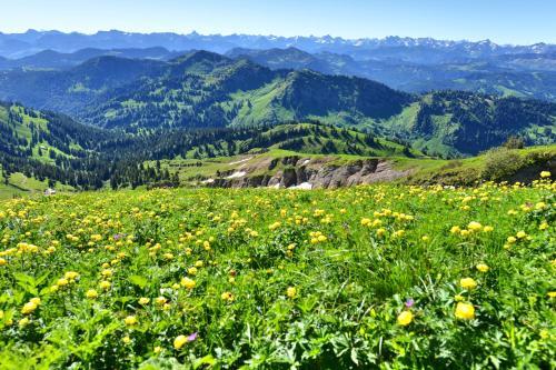 Bergh�s Schratt - Vegetarisches Und Veganes Biohotel