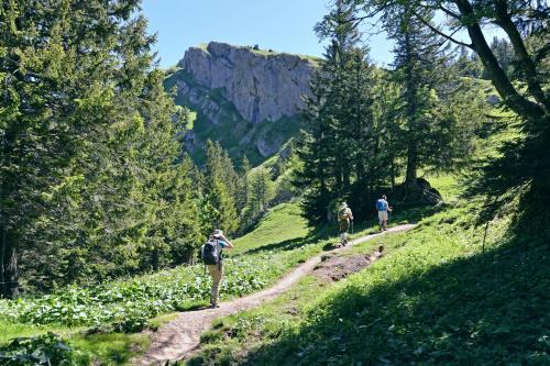 Bergh�s Schratt - Vegetarisches Und Veganes Biohotel