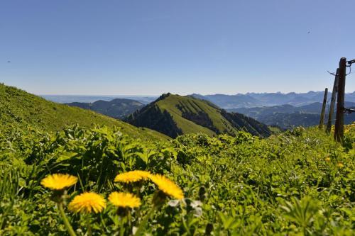 Bergh�s Schratt - Vegetarisches Und Veganes Biohotel