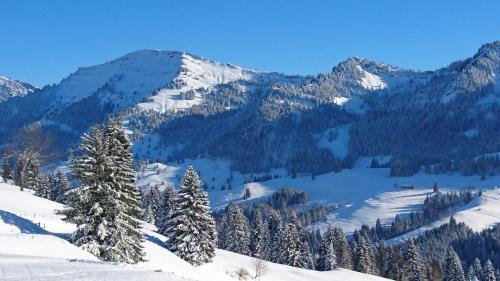 Bergh�s Schratt - Vegetarisches Und Veganes Biohotel