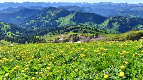 Bergh�s Schratt - Vegetarisches Und Veganes Biohotel
