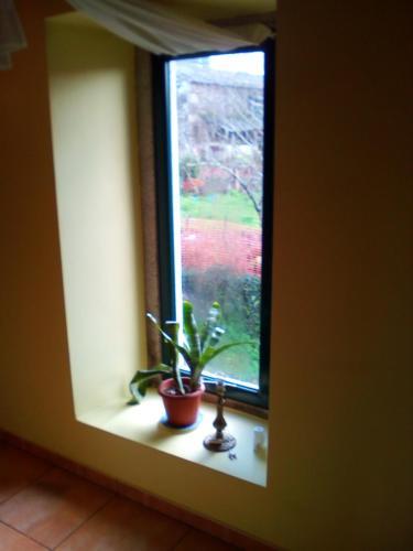 Hostal Albergue Casa Sabela