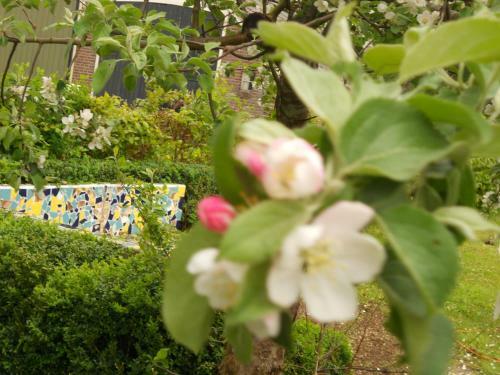 Bed & Breakfast Gezond Boeren Verstand