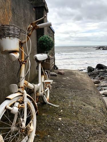 Castaway Holiday Cottage Fife