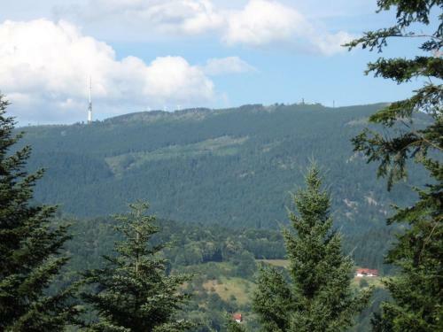 Apartamento Ferienwohnung D�rflinger