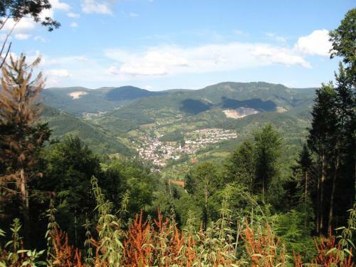 Apartamento Ferienwohnung D�rflinger