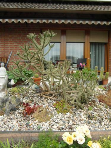 Apartamento Ferienwohnung Borcherts
